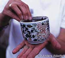 cup, photo Anders W�stfelt