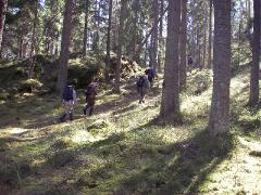 Foto: Kjerstin Lfgren