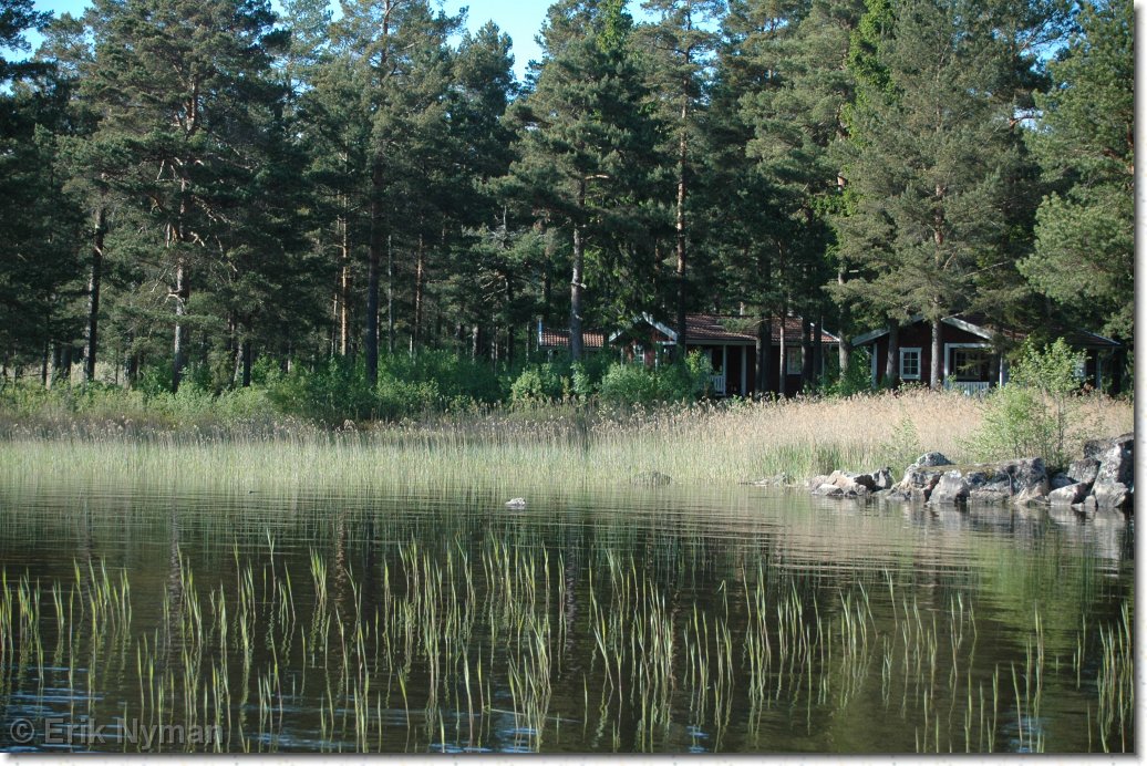 Du har ntt sista bilden