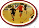 FBI vs Orminge Wallenstam * (10 Bilder)