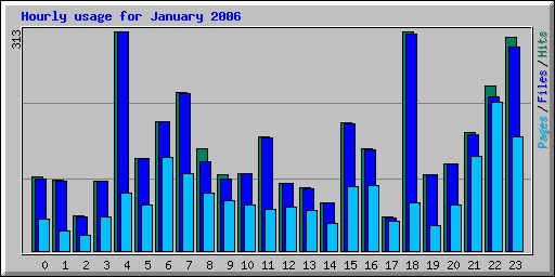Hourly usage for January 2006
