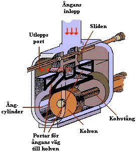 Kolven