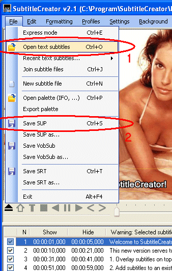 SubtitleCreator Screenshot