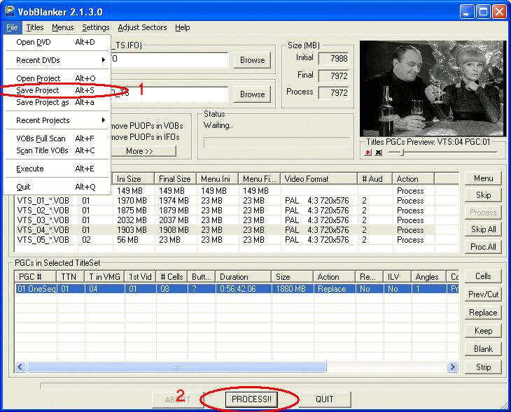 VobBlanker Screenshot