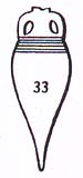 dressel33