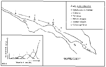 Bottenhamn model