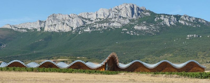 20110914-155329.jpg - Bodegas Ysios