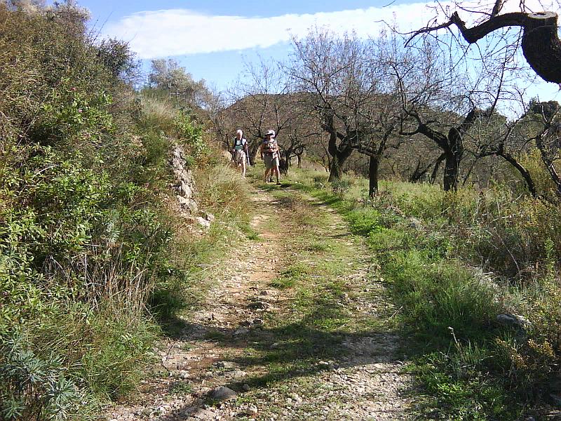 DSC00228.JPG - Vuelta de Somo: Vandring genom mandelodling