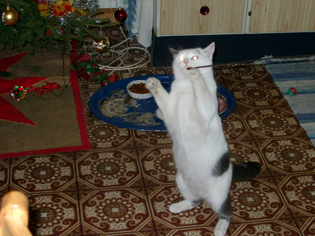 05