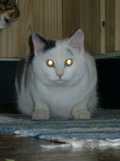07
