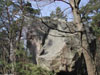 Flyttblock i Hagaparken