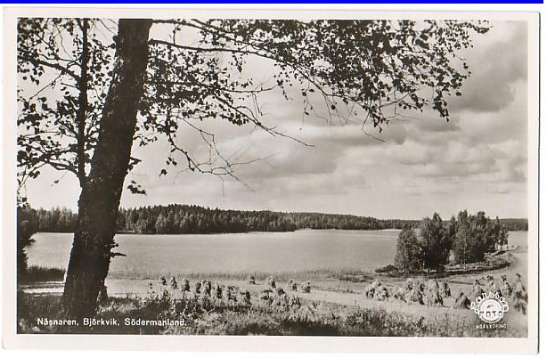 Näsnaren, Björkvik Södermanland