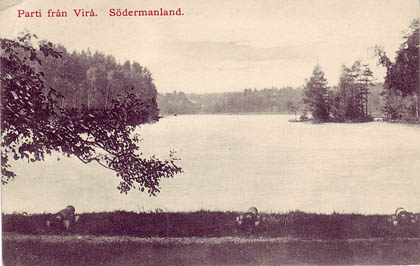 Parti från Virå. Södermanland