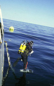 diver