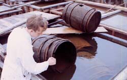 Sven Bengtsson places barrels in water tanks pending conservation
